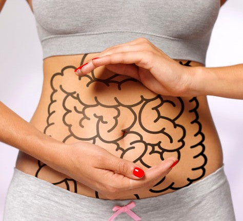 The Crucial Role of Healthy Gut