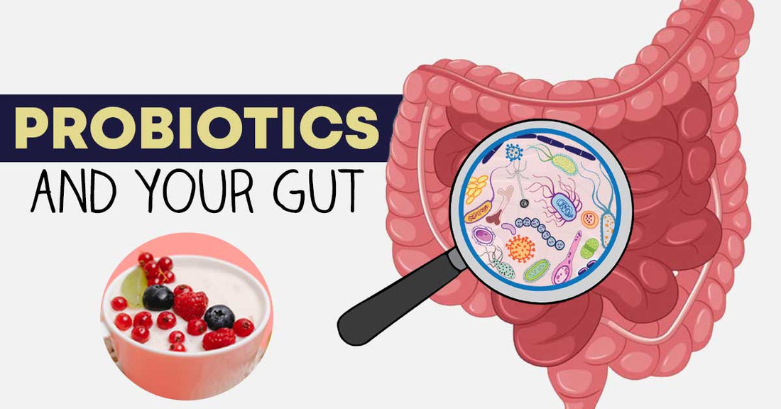 The Healthy Benefits of Probiotics: A Closer Look at PROBIO.HIT